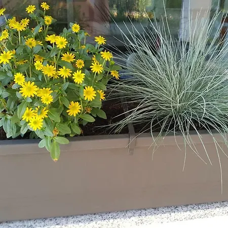 Vakantiehuis Na Off *