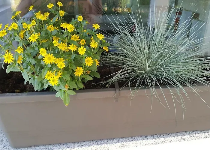 Prázdninový dům Na Off *